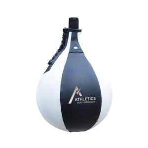 Boxing Speed Ball