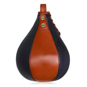 Boxing Speed Ball