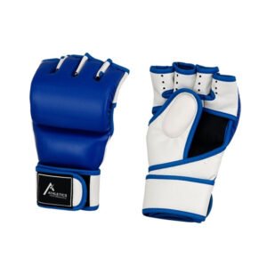 MMA Gloves