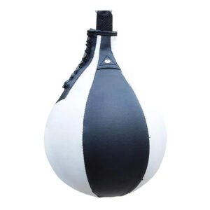 Boxing Speed Ball