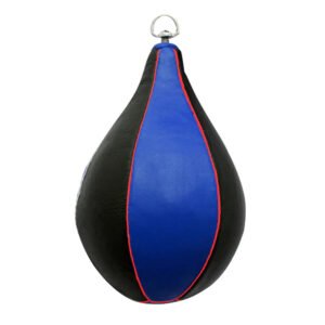 Boxing Speed Ball